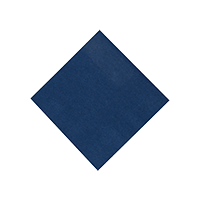 T-N10-DKBLUE