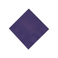 T-N10-PURPLE